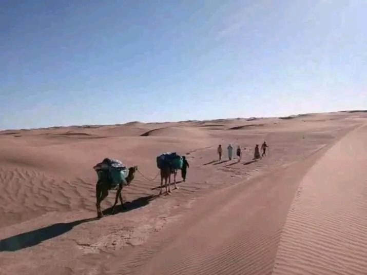 Organisation Des Excursions & Bivouac Dans Le Desert Foum Zguid Exterior foto