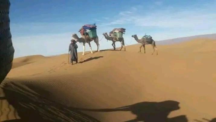 Organisation Des Excursions & Bivouac Dans Le Desert Foum Zguid Exterior foto